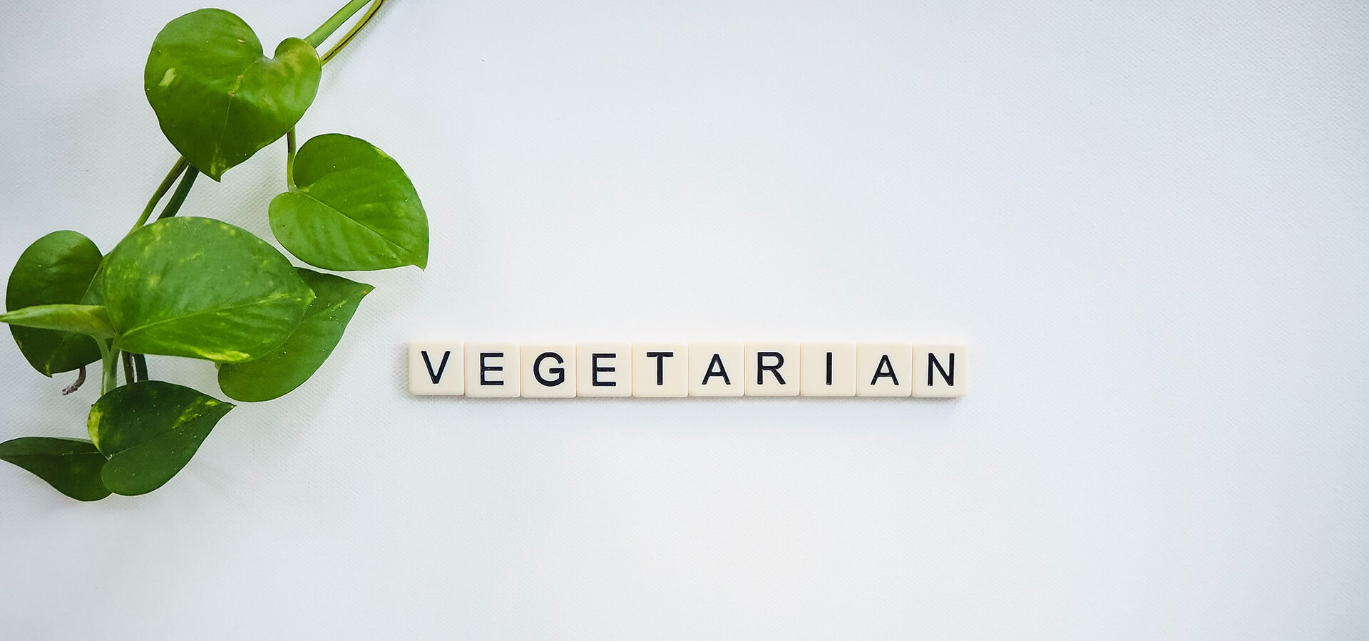 Vegeterian